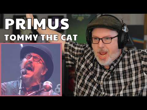 Video thumbnail: Classical Composer Loses His Mind Hearing PRIMUS: Tommy The Cat |  The Daily Doug Episode 1124