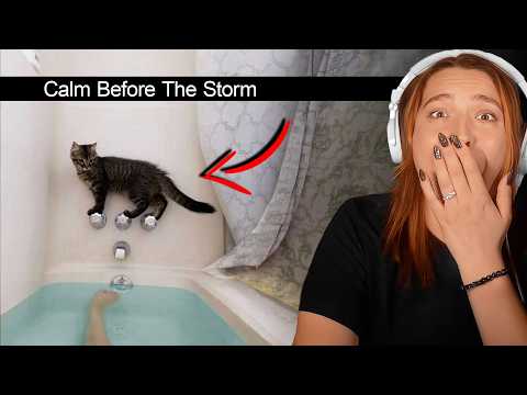 Video thumbnail: Lindsey Stole My Channel To Post This