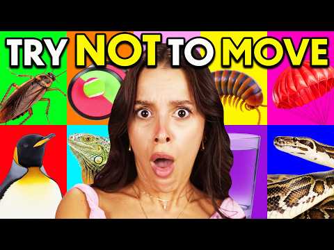 Video thumbnail: EXTREME Try Not To Move Challenge!
