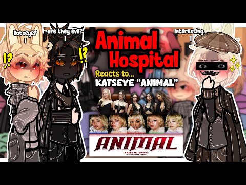 Video thumbnail: (🇺🇲🇧🇷) Animal Hospital Reacts To KATSEYE "Animal" MV || Anomaly Intern AU | Angst | 2x Speed | GACHA