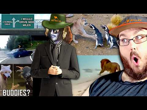 Video thumbnail: More Parz Certified Australia - The worlds LONGEST roadtrip & Crazy Animals Crossover Event REACTION