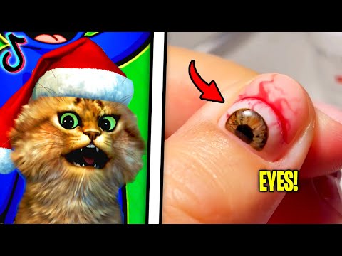 Video thumbnail: Reacting To The FUNNIEST Videos (TRY NOT TO LAUGH CHALLENGE)