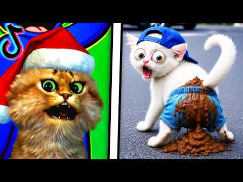 Video thumbnail: Reacting To The FUNNIEST Videos (TRY NOT TO LAUGH CHALLENGE)